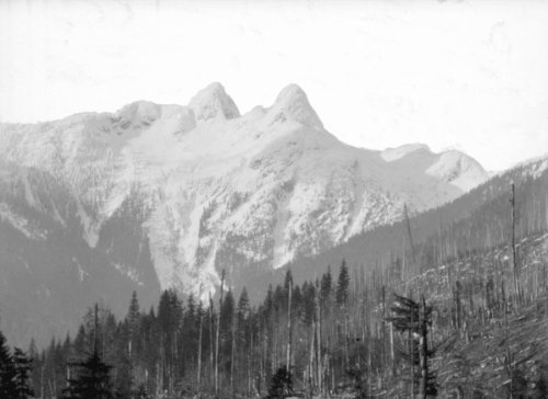 logging in Capilano 1920's
