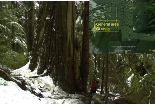 Lynn valley snag with map