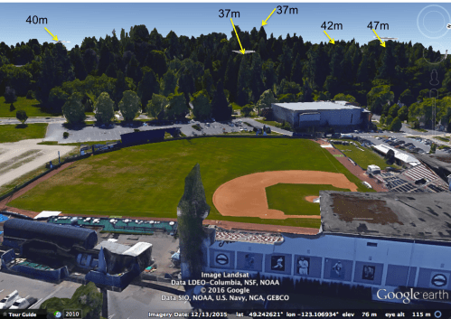 big trees and baseball.png