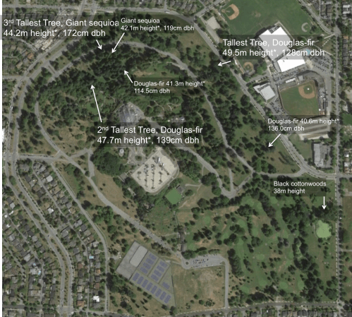 Queen E map with tree height os April 23.png