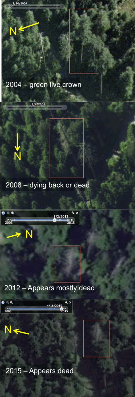 Meech Creek death.png